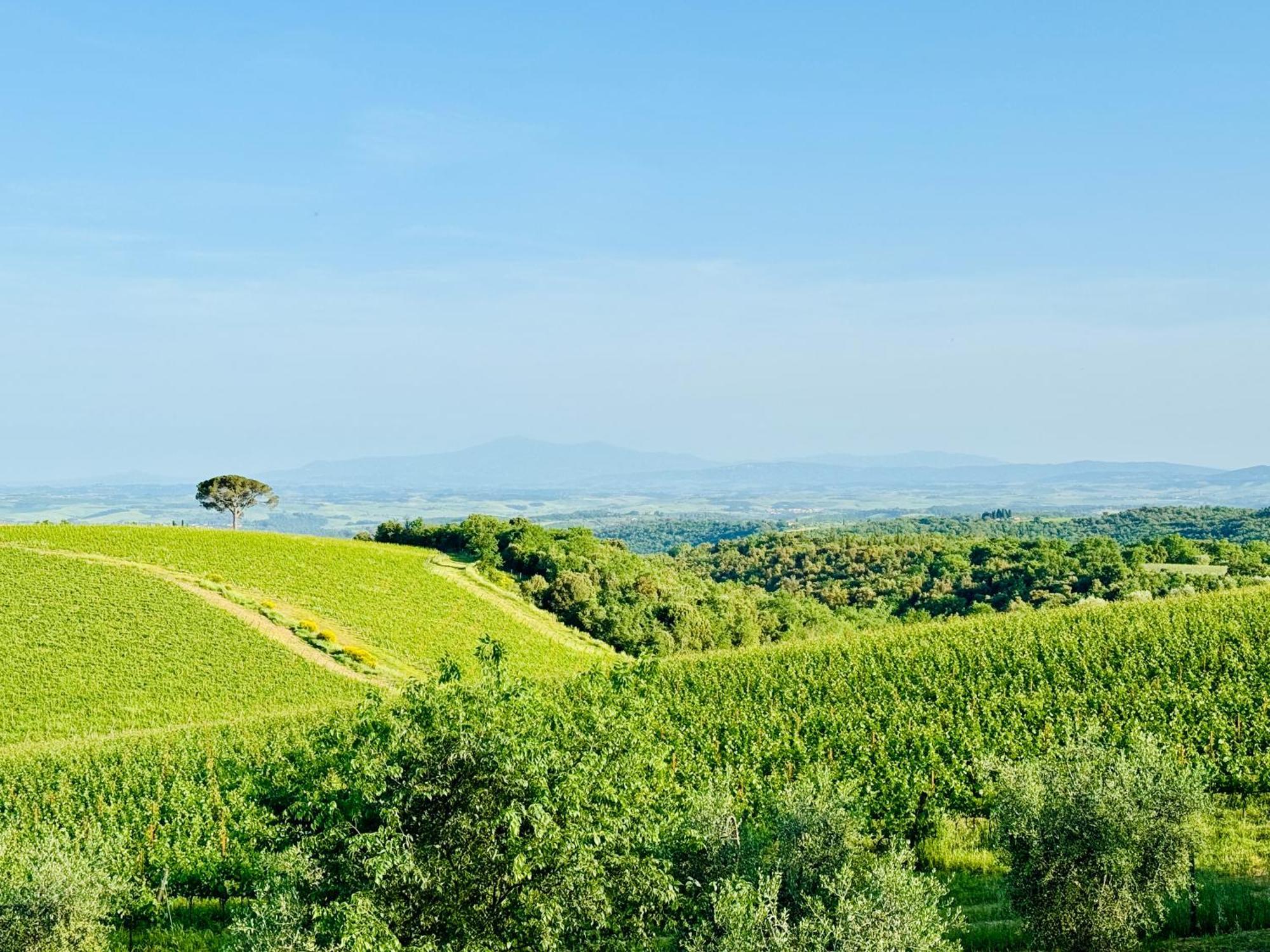 Libertas Tuscan Hideaway San Sano Экстерьер фото