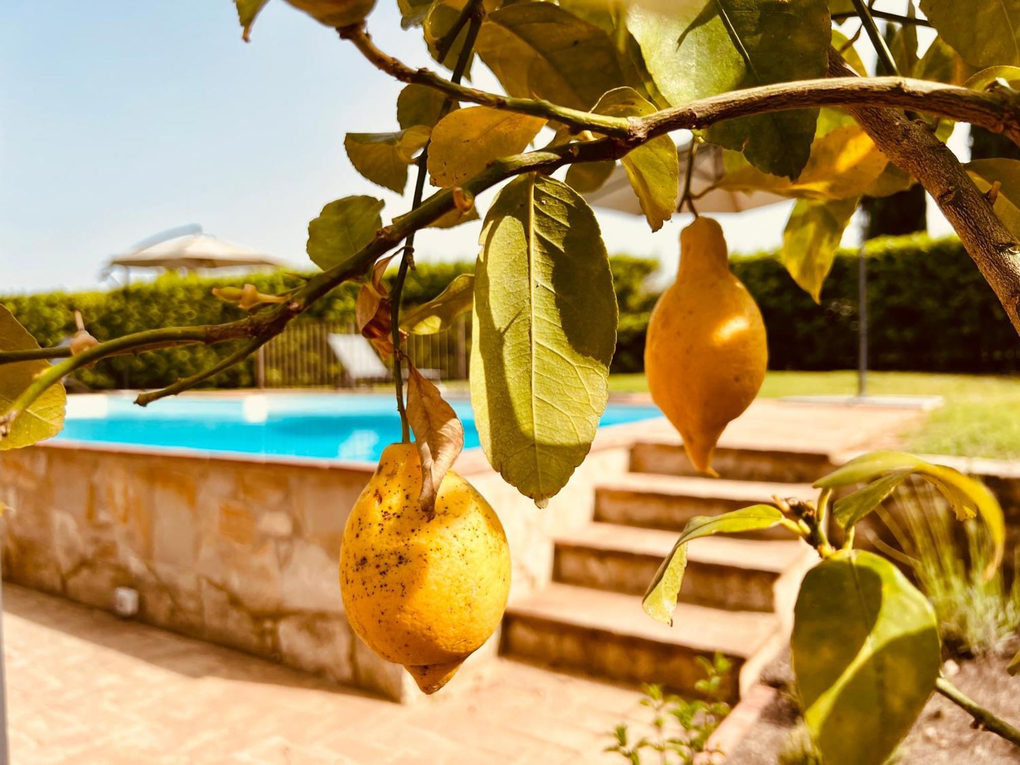 Libertas Tuscan Hideaway San Sano Экстерьер фото