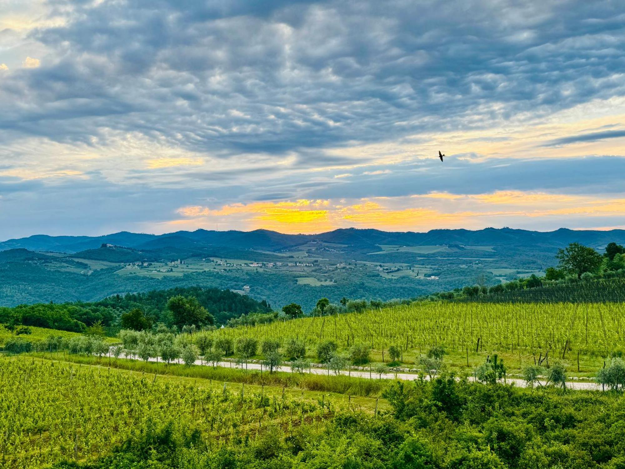 Libertas Tuscan Hideaway San Sano Экстерьер фото